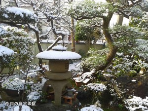 雪景色 2017年1月15日