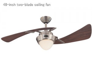 48-inch two-blade ceiling fan