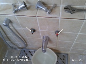 コーラー社シャワー水栓の修理