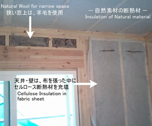 Heat insulator